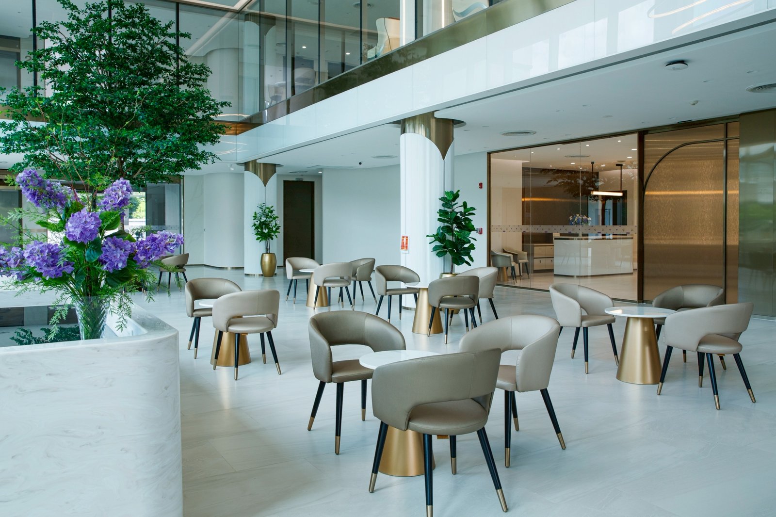 Where Beauty Meets Surgical Excellence